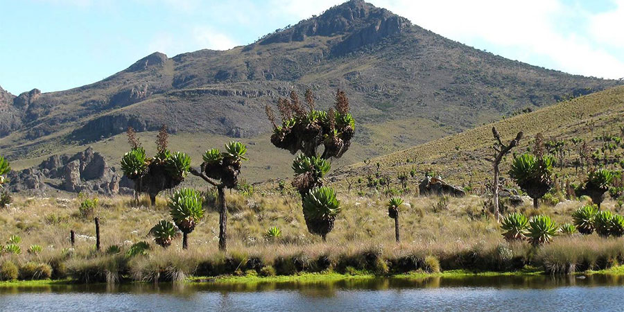 mountain elgon