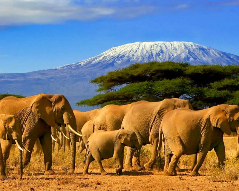10-day-safari-cultural-activity-in-kilimanjaro-region