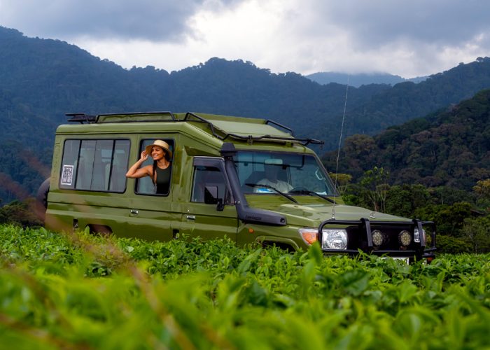 12-days-rwandan-safari-tour