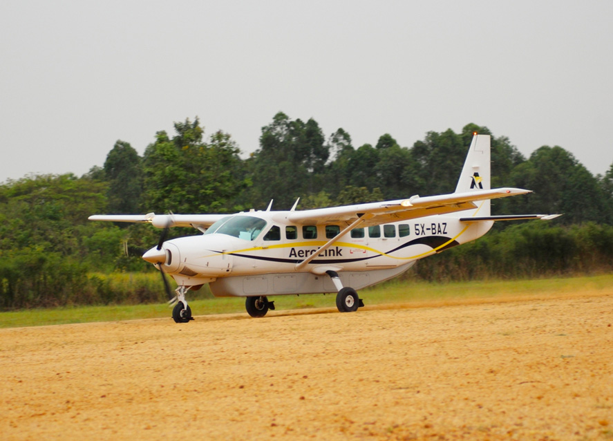 Gorilla flying luxury safari