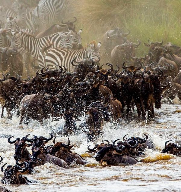 6 Day Explore Tanzania Classic Adventure
