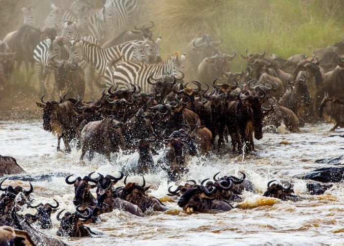 6 Day Explore Tanzania Classic Adventure