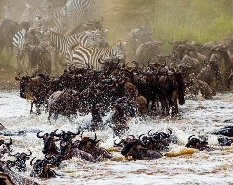 6 Day Explore Tanzania Classic Adventure