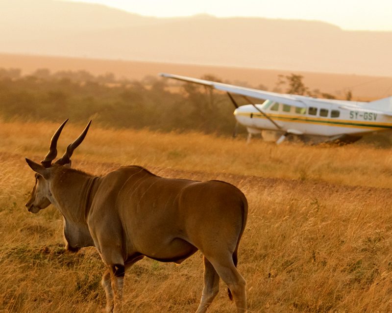 8-day-luxurious-tanzania-safari