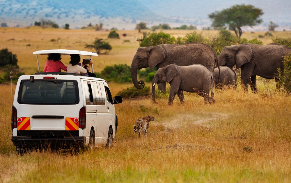 Amboseli National Park Game Drives