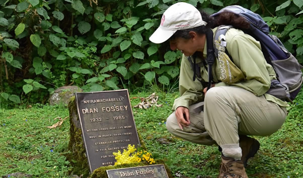 Dian Fossey Hike.