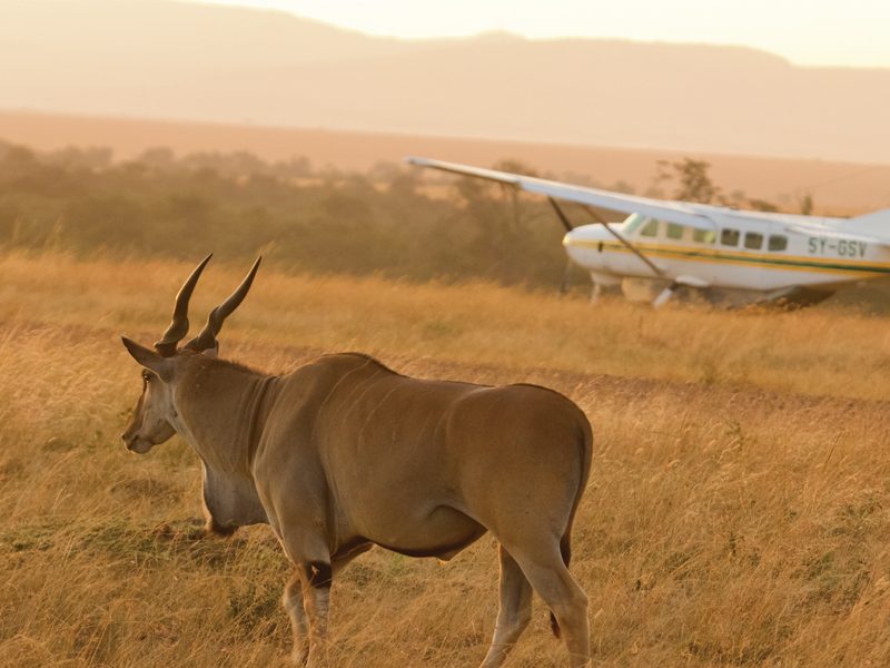 8-Day Luxurious Tanzania Safari