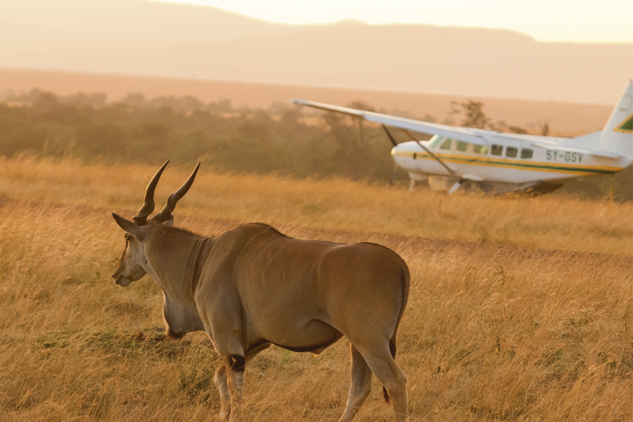 8-Day Luxurious Tanzania Safari