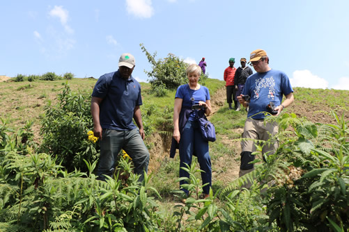 Nature Walk at Gishwati Mukura National Park