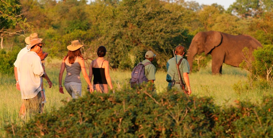 Guided Nature Walks at Amboseli National Park