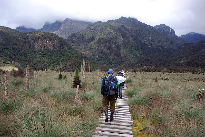 Hiking at Mt.Rwenzori