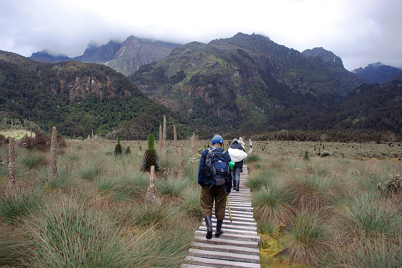 Hiking at Mt.Rwenzori