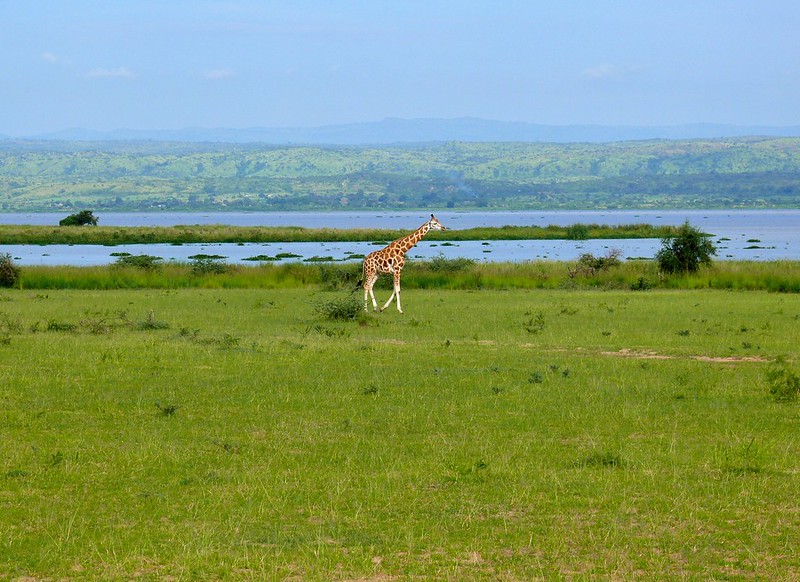 Lake Albert