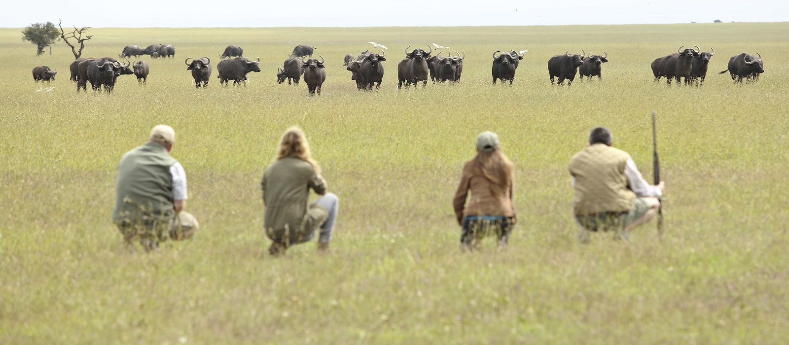 Nature Walks at Maasai