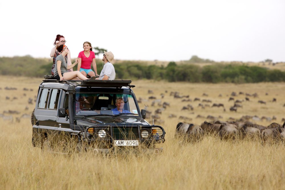 Masai Mara National Park Game Drives