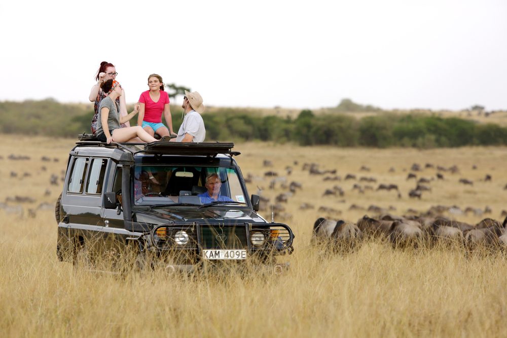 Masai Mara National Park Game Drives