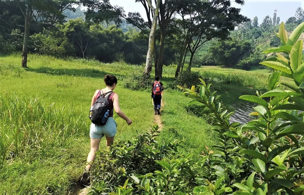 Nature Walks at Volcanoes