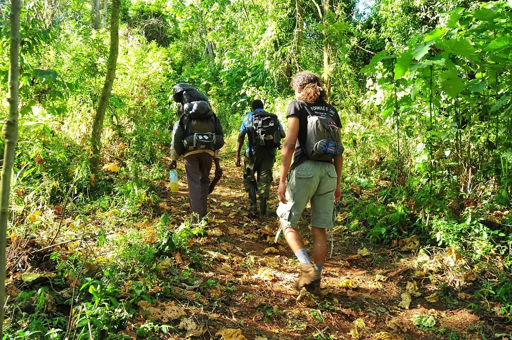 Nature Walks at Elgon