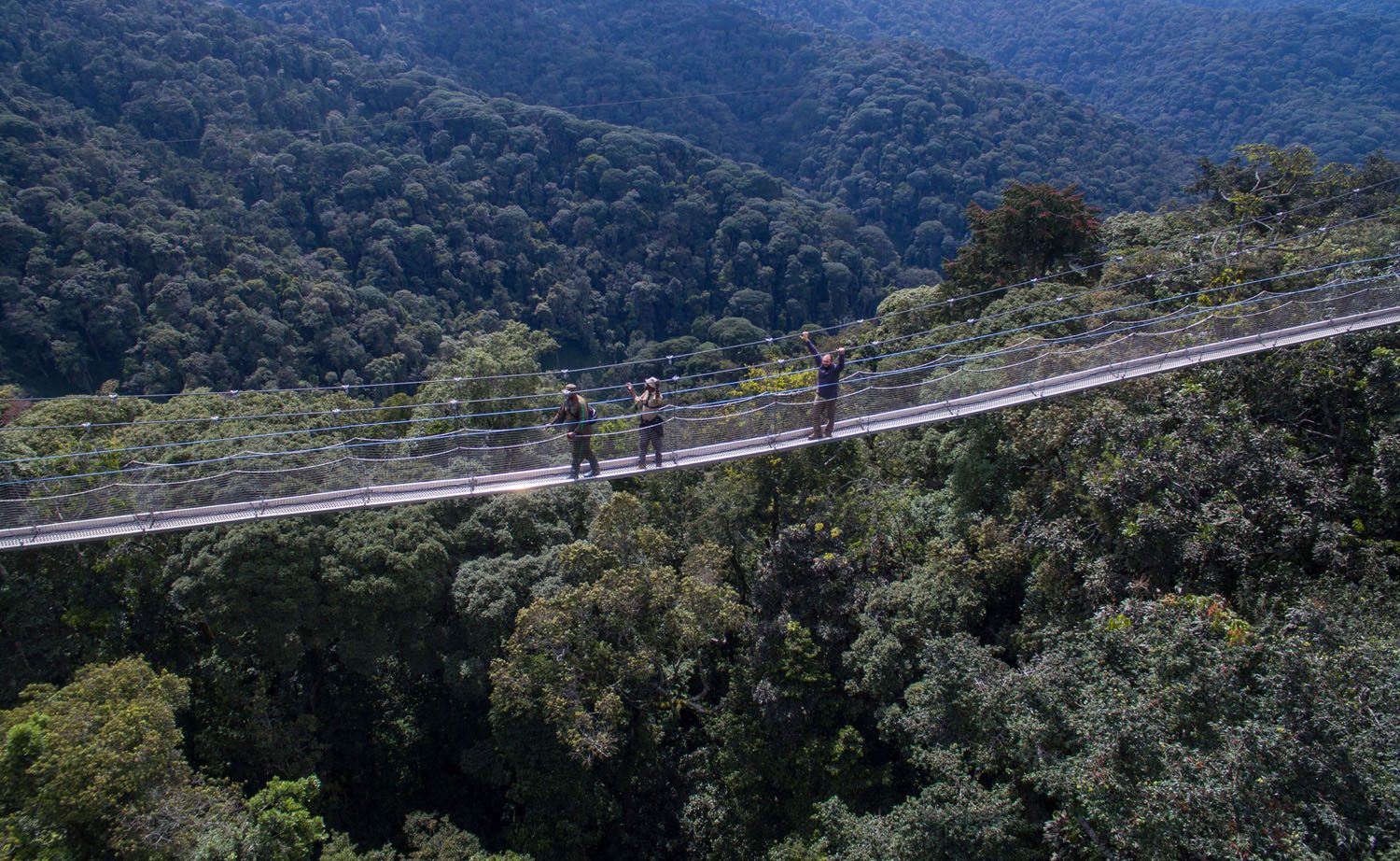 Nyungwe Forest National Park