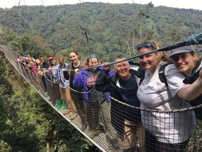 Canopy Walk