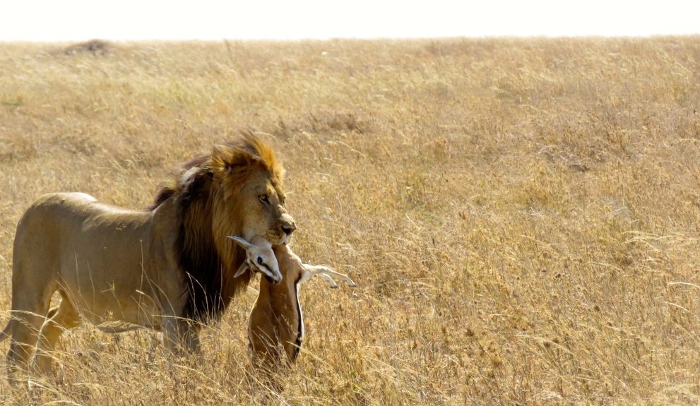 Serengeti National Park