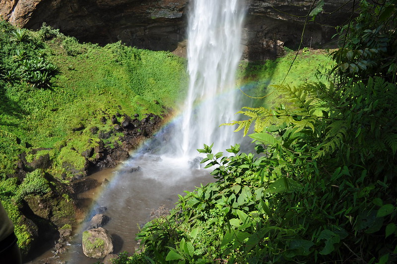 Mountain Elgon National Park