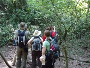Maramagambo Forest