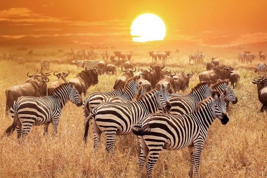 Serengeti National Park