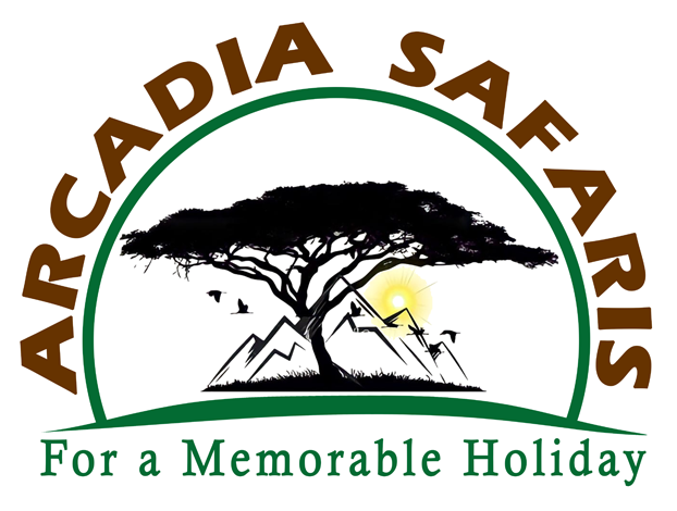 arcadia-safaris-logo