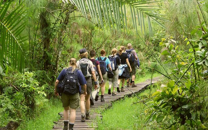 Tourists during a Swamp Walk at Bigodi Wetland Sanctuary