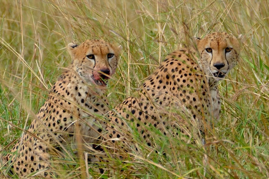 Bokora Corridor Wildlife Reserve