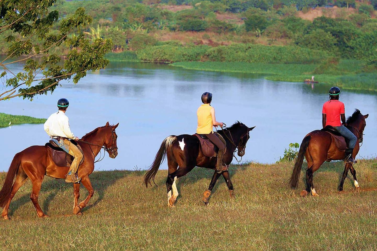 Horse Riding in Uganda