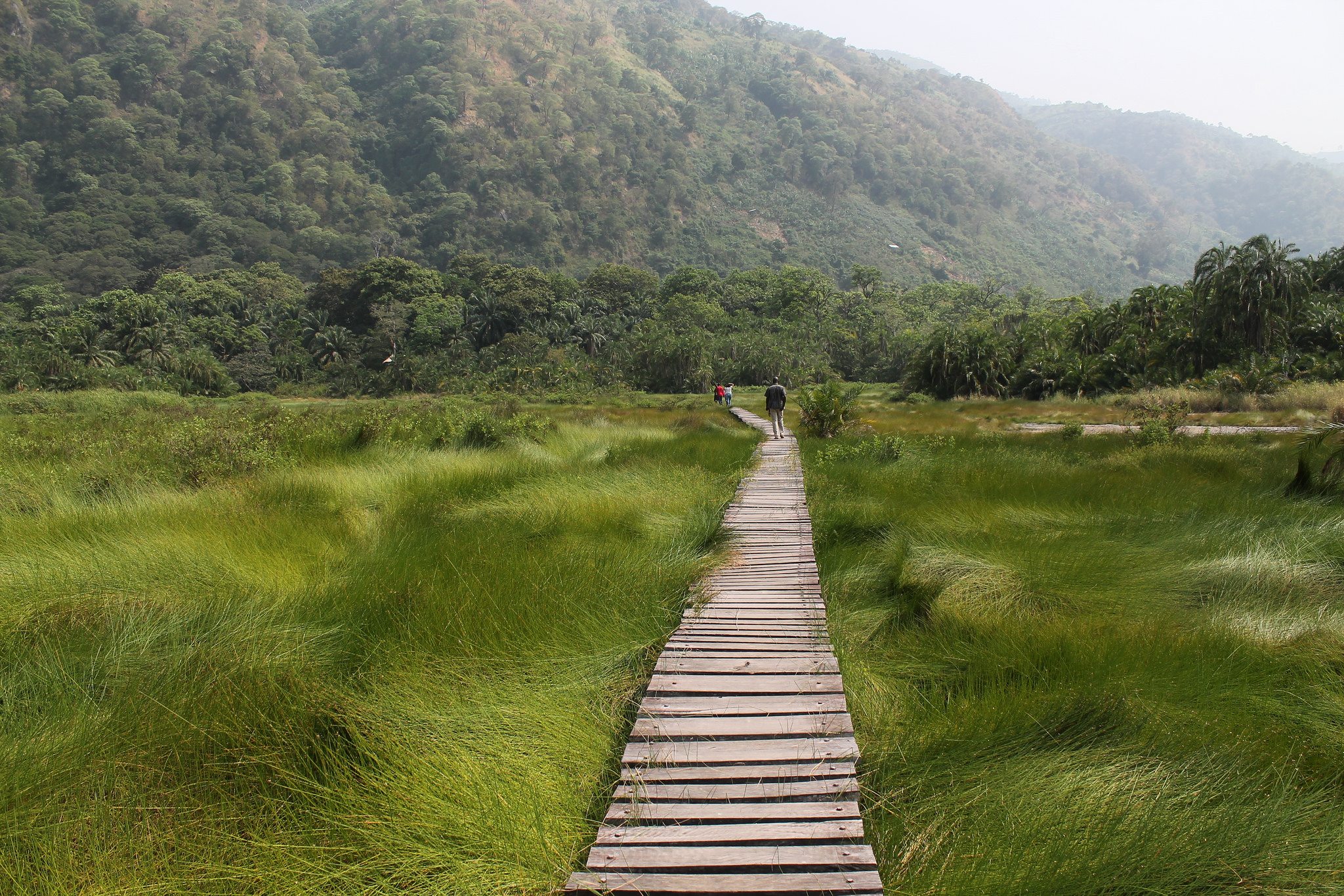 Semuliki National Park Biodiversity