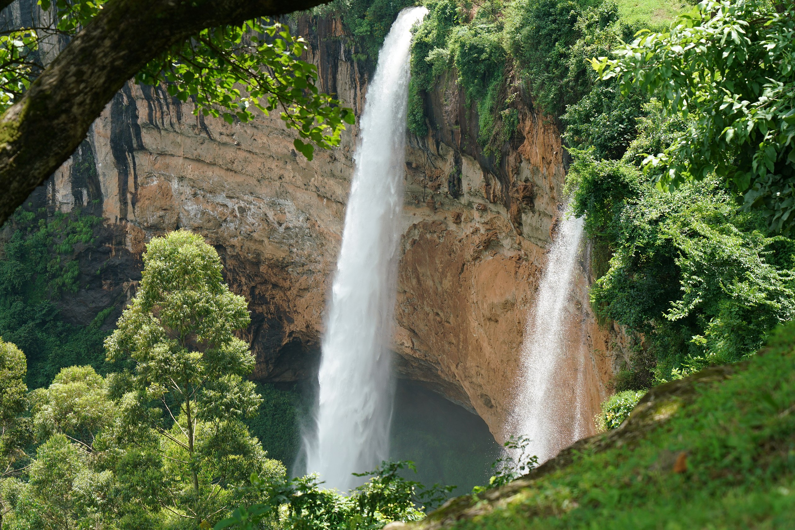 The Breathtaking Biodiversity of Mount Elgon National Park
