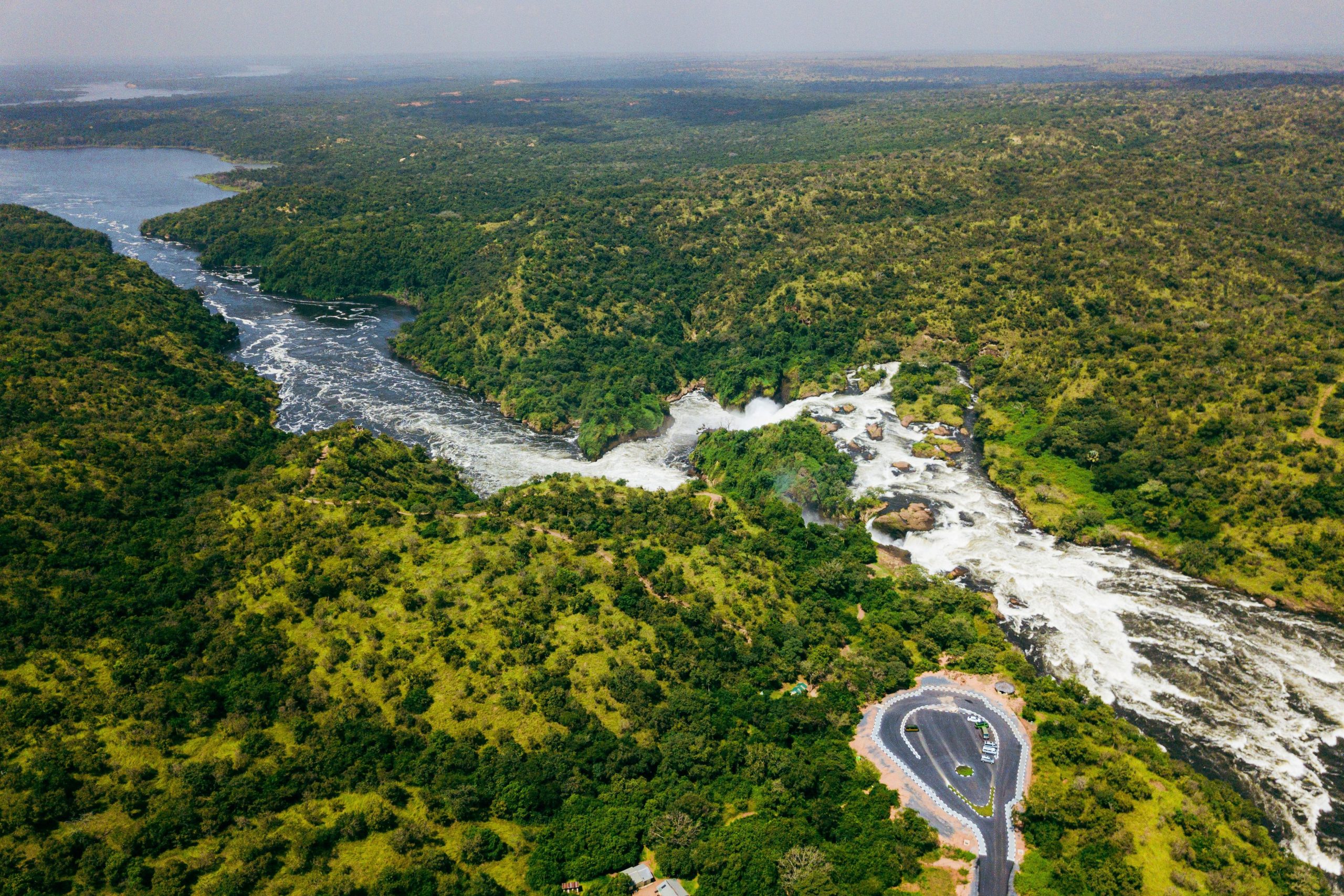 Murchison Falls National Park Biodiversity Gem