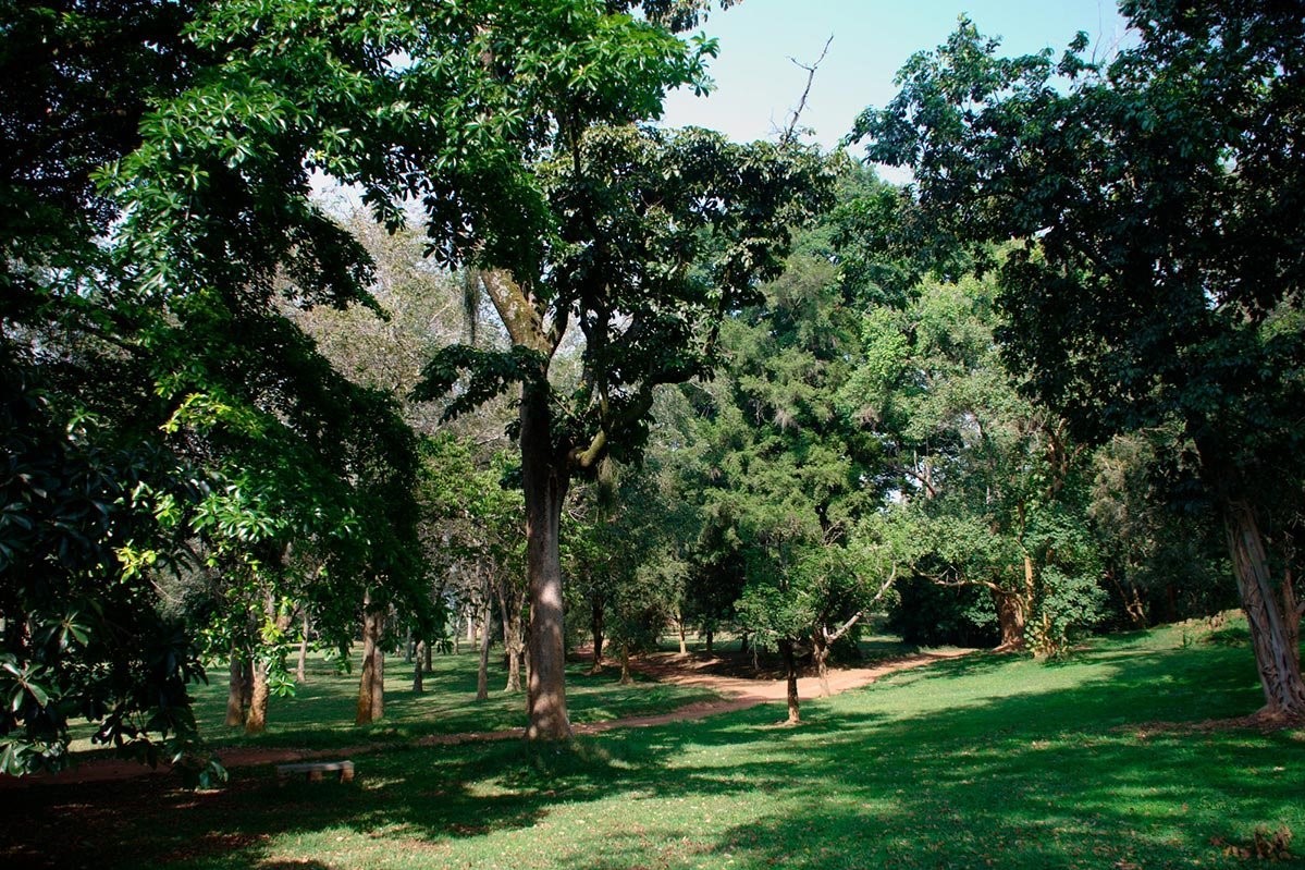 Entebbe Botanical Gardens - Arcadia Safaris
