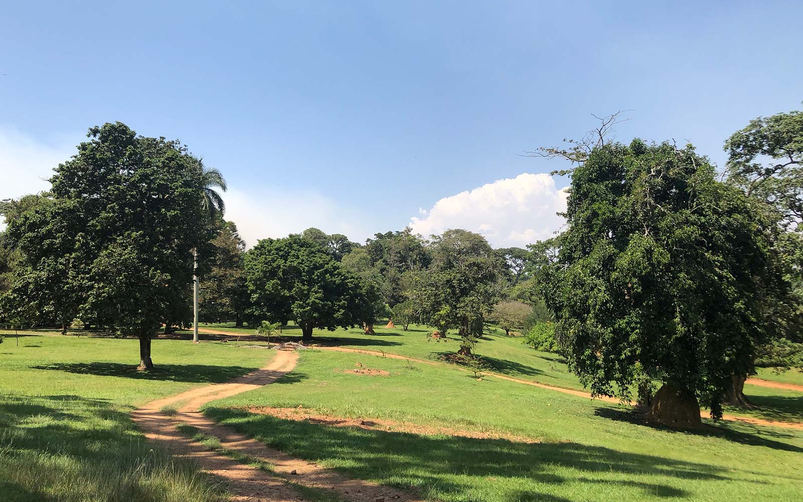 Entebbe Botanical Gardens