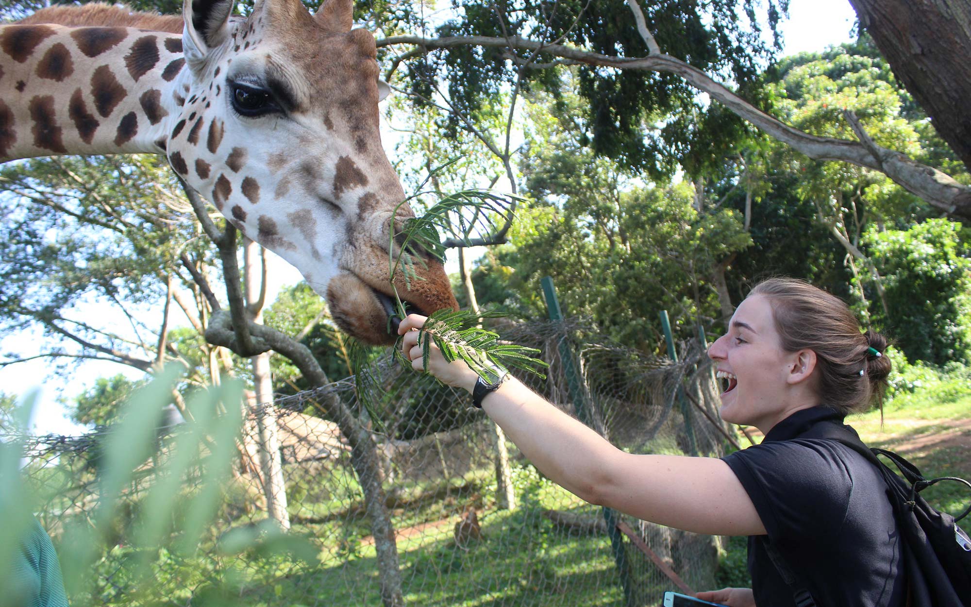 Uganda Wildlife Conservation Education Center | Entebbe Zoo - Arcadia Safaris