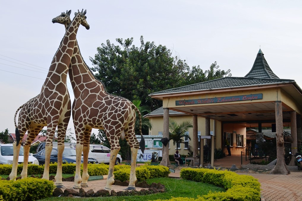 Uganda Wildlife Conservation Education Center | Entebbe Zoo - Arcadia Safaris