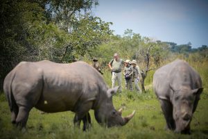 Rhino-Tracking-in-Uganda
