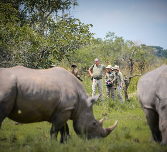 Rhino-Tracking-in-Uganda