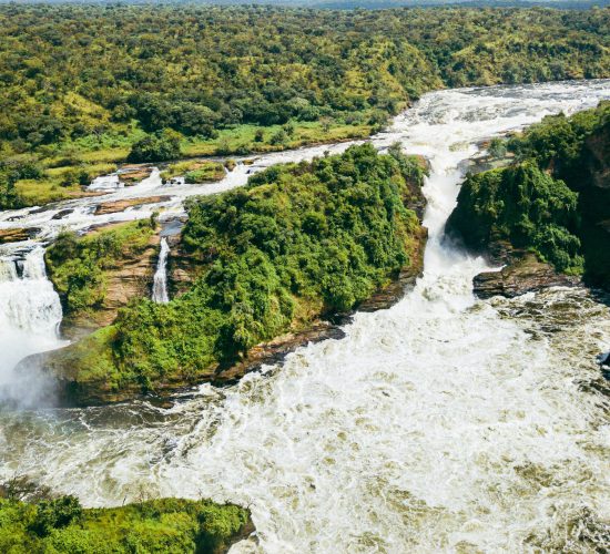 Top of Murchison Falls