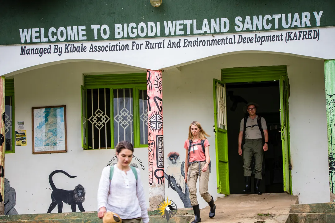 Bigodi Building