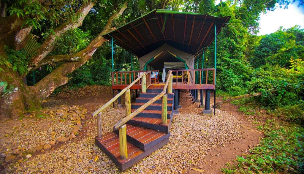 Accommodation in Gombe National Park