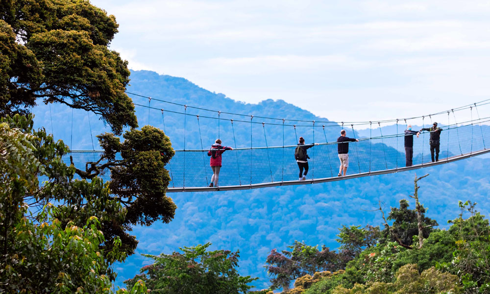 Nyungwe Forest National Park
