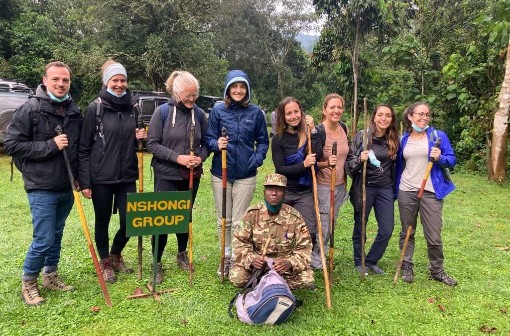 What to Pack for Gorilla Trekking in Uganda