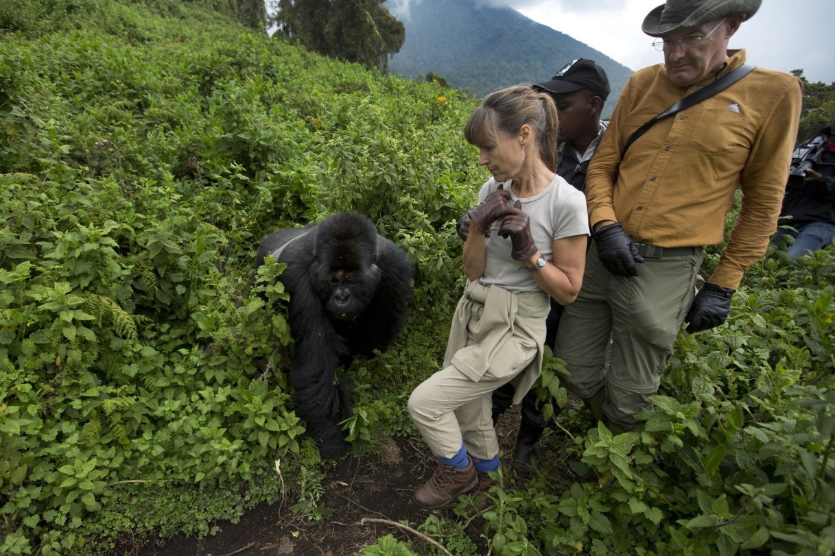 What to Pack for Gorilla Trekking in Uganda