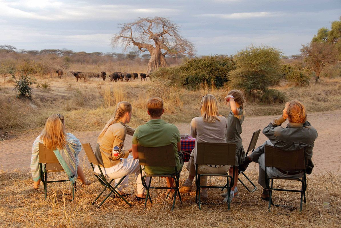 Best Tanzania Family Safaris and Tours