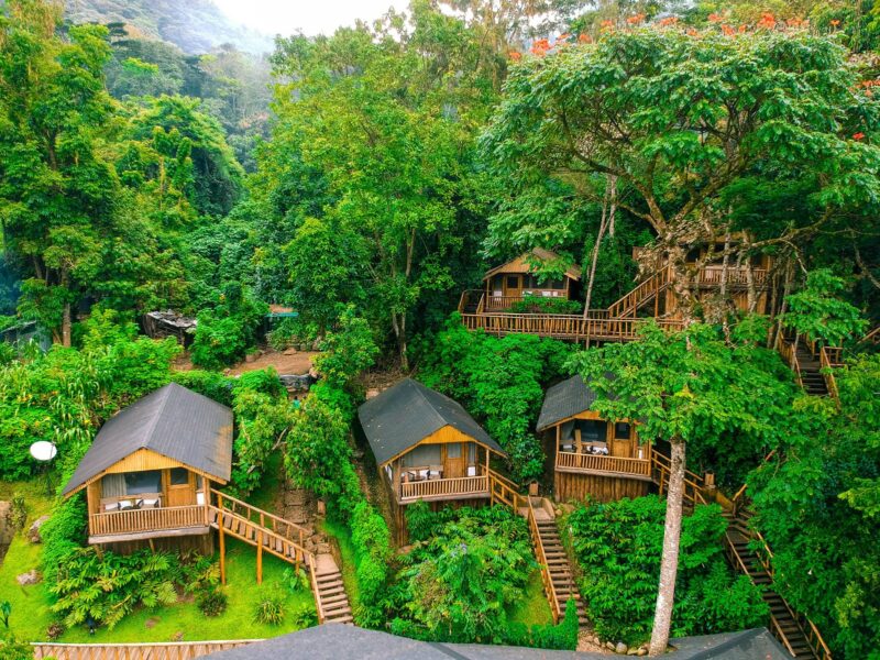 Buhoma Lodge in Bwindi