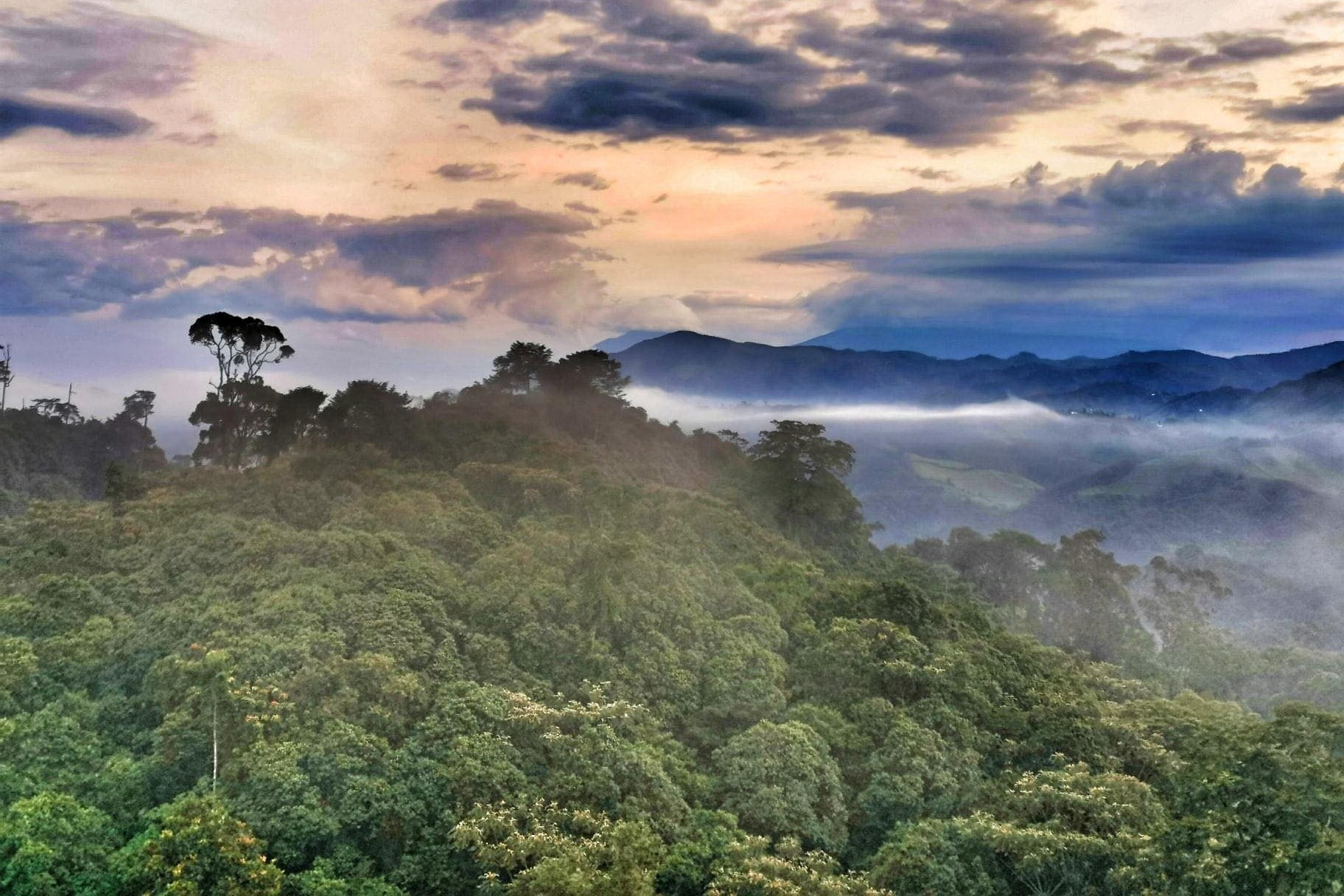 Gishwati Makura National Park 5